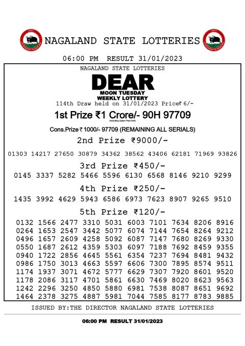 dear daily lottery