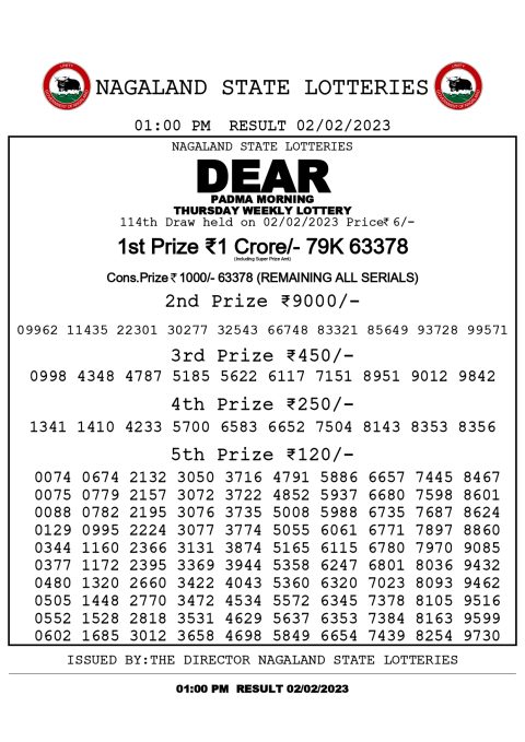 DEAR DAILY LOTTERY