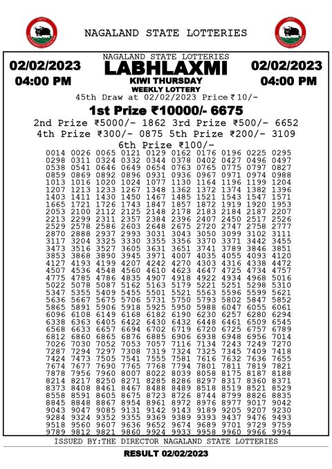 DEAR DAILY LOTTERY
