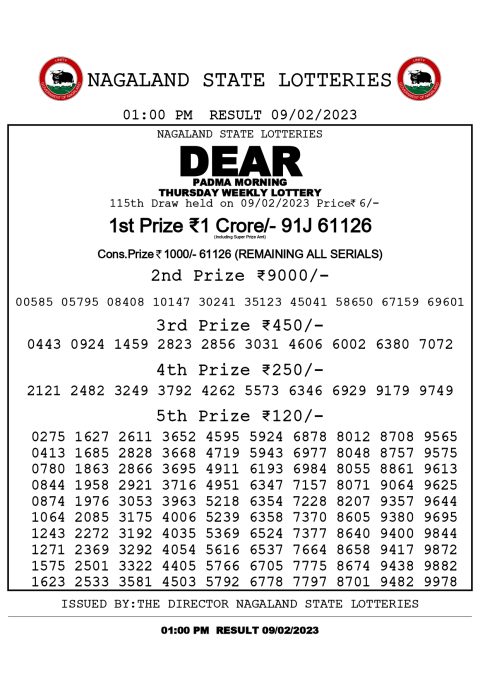 dear daiy lottery