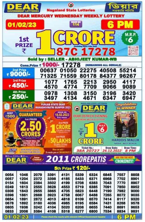 DEAR DAILY LOTTERY