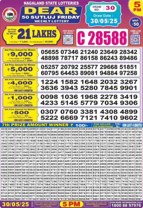 Dear Lottery Results
