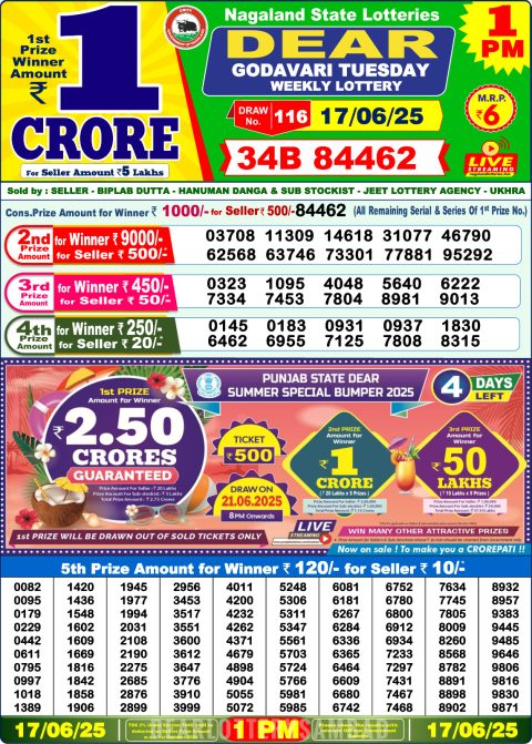 Dear Lottery Results
