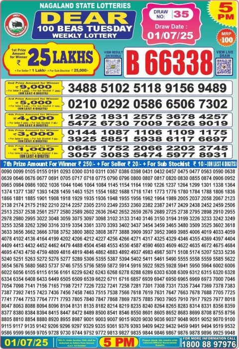Dear Lottery Results